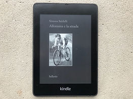 Fotografia della copertina del libro "Alfonsina e la strada"