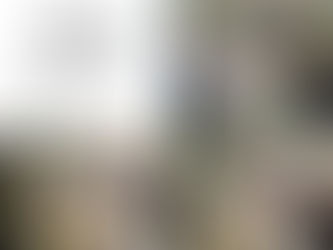 Cena tra amici UTL 2024