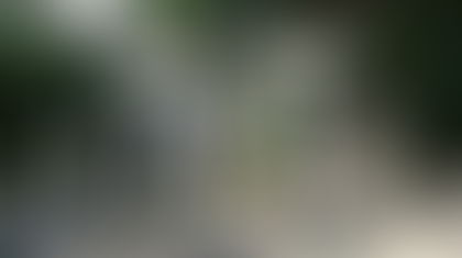 建御名方神(タケミナカタ)と諏訪大社