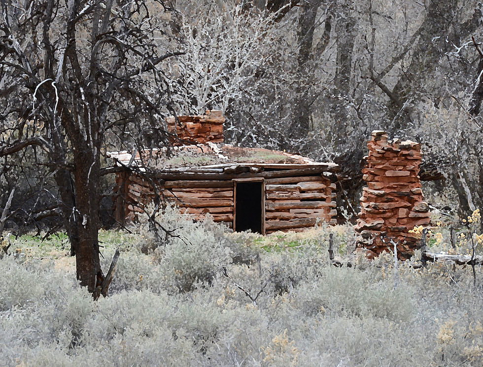 Abandoned homestead