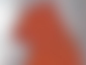 Who are the Three Bears? - Part 3: Mr Grizzly Bear