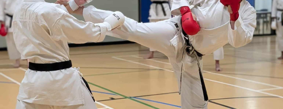 HDKI south squad training