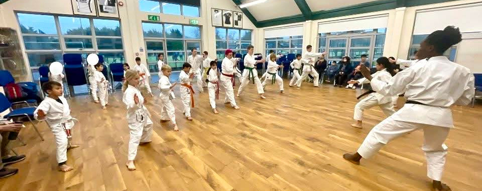 Kyu Grading at Soncho Karate Club