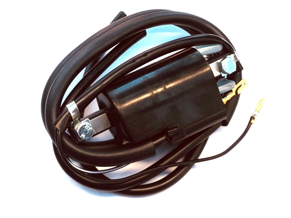 Ignition Coil 12v Twin Lead 100mm Mount