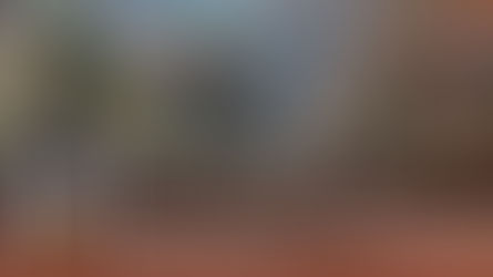 Verse of the Day: November 21