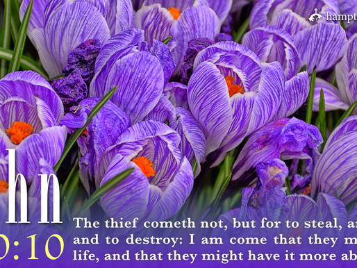 Verse of the Day: John 10.10