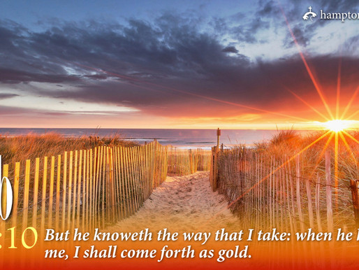 Verse of the Day: Job 23:10