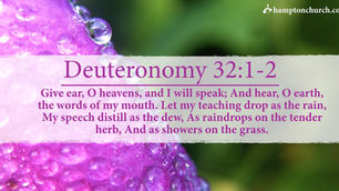 August 22: Verse of the Day