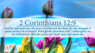 Verse of the Day: September 29