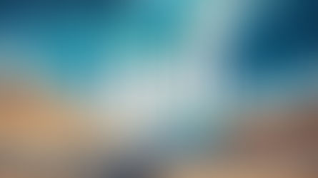 Thanksgiving: The Action of Gratitude