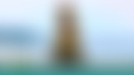 August 4: Verse of the Day