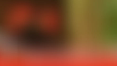 Verse of the Day: November 14