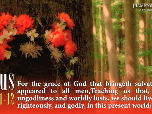 Verse of the Day: November 14