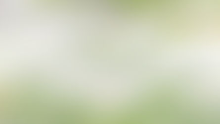 May 11: Verse of the Day