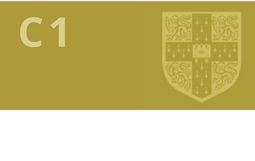 Curso C1 Advanced intensivo de Cambridge