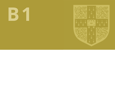 Curso B1 Preliminary intensivo de Cambridge