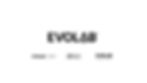 Evolab Logo Suite