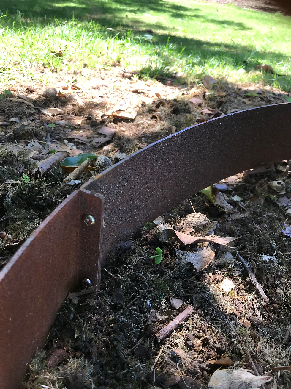 Thumbnail: Corten Tree Rings