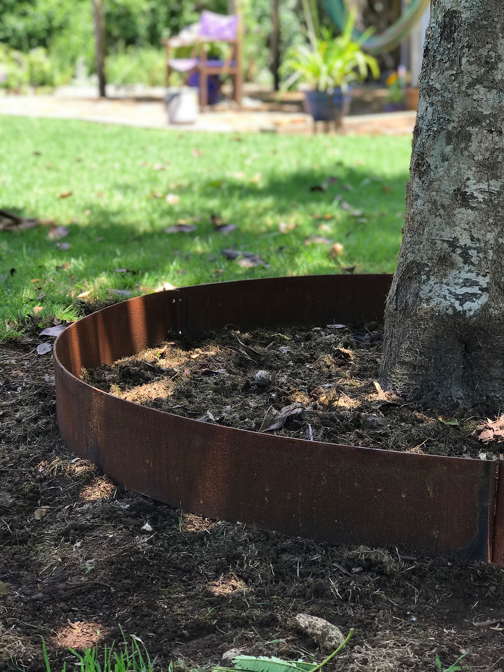 Thumbnail: Corten Tree Rings