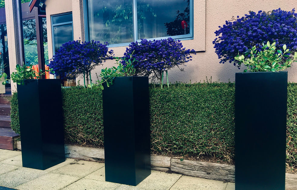 Thumbnail: BLACK POWDER COATED COLUMN 300