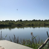 IMG_8808.JPEG