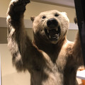 IMG_9165.JPEG