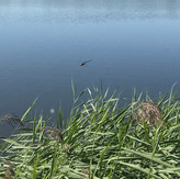 IMG_8810.JPEG