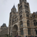 IMG_9169.JPEG