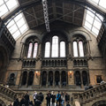 IMG_9150.JPEG