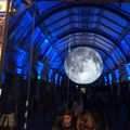 IMG_9152.JPEG