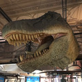 IMG_9157.JPEG