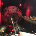 IMG_9144.JPEG