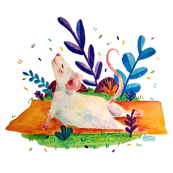 Spring Yoga copy.jpg