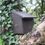 Thumbnail: Dormouse Box