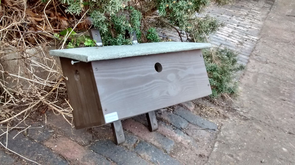 Hinged Sparrow Terrace