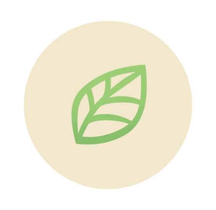Onion (11).png