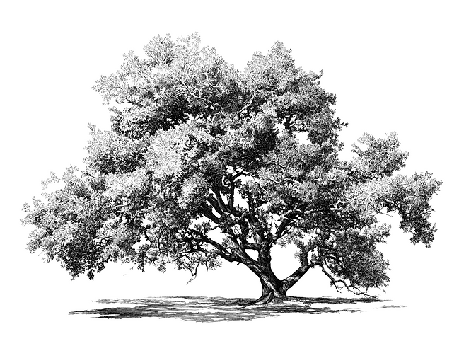 oaktree.png