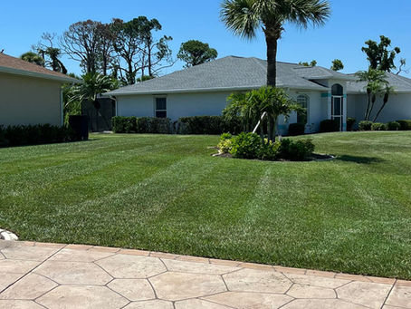 Best Time to Water Your Lawn in North Port, Florida