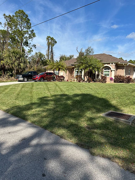 Finished Tree trimming yard