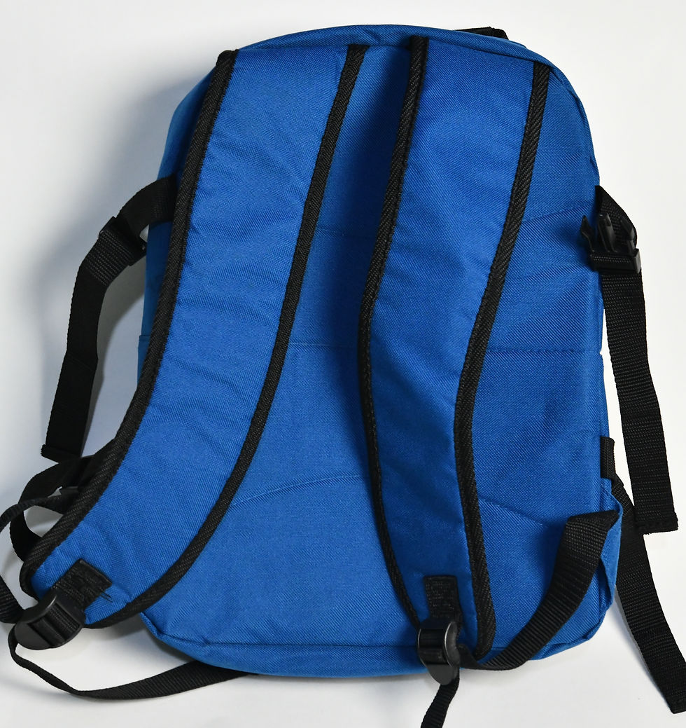 Küçük resim: Draper 77589 BackPack Cool Bag