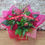 Thumbnail: BEST RED ROSE AND LILY BOX