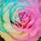 Thumbnail: HALF A DOZ PASTEL ROSES IN A BOX