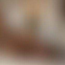 Stephanie Hamlin Luxury Hotel Set