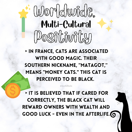 International Black Cat Day