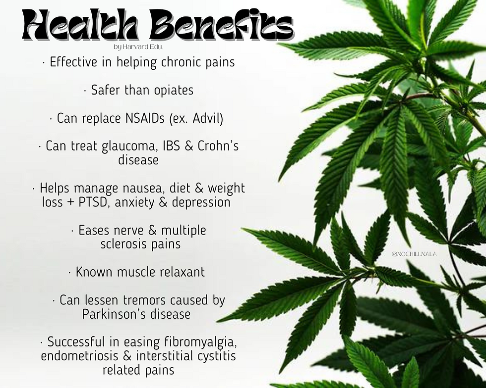 Marijuana Fun Facts: Slide #1