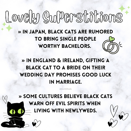 International Black Cat Day