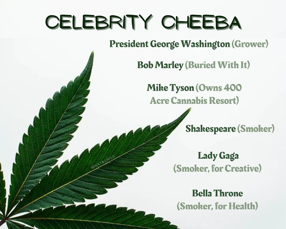 Marijuana Fun Facts: Slide #3