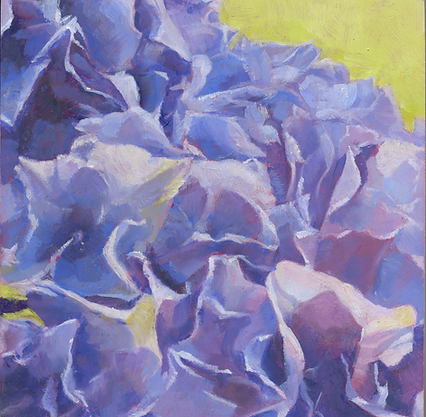 LowerRes_Hydrangea_02.png