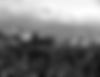 StChristol-entre-vignes-noir.jpg