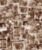 LG-genealogie.jpg